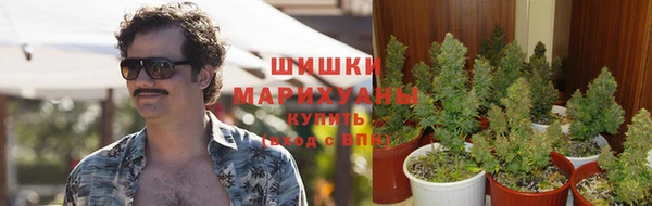 бошки Магадан