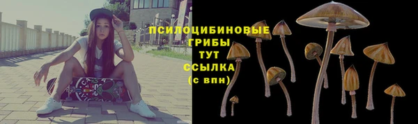 спайс Магас