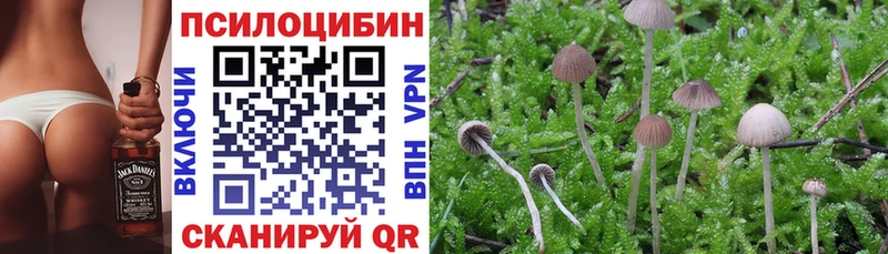 Купить закладки  Малмыж  Псилоцибиновые грибы GOLDEN TEACHER 